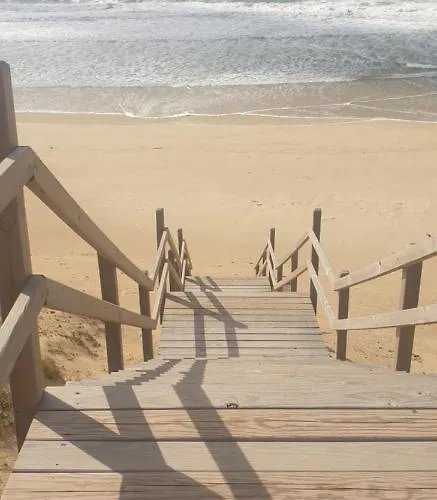 キャンプ場 Mobil-home